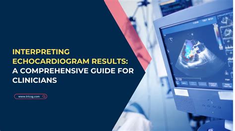 2d echo interpretation|Interpreting Echocardiogram Results: A Comprehensive Guide .